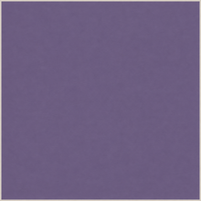 African Violet