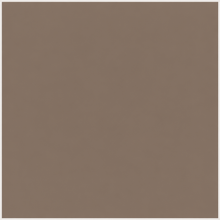 Beaver Brown