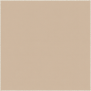 Brown Rice