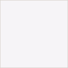 Classic White