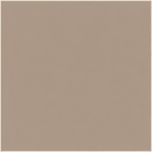 Dark Cashew