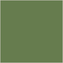 Fern