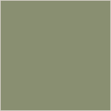 Lichen