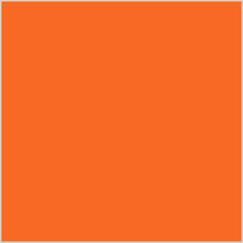 Persimmon