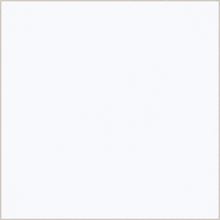 Siberian White