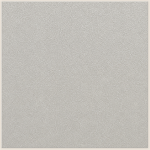 Silver Splash